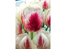 16,2���. ������� �� ��(�������� ���� �� 10 ��., ����������� ����� 5��.)���17.jpg