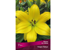 ����� ������ ������.jpg