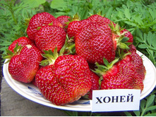 ��������� �����.jpg