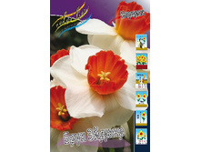 19,17���. ������� ���� ������(�������� ���� �� 10 ��., ����������� ����� 5��.).jpg