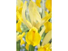 8,77���. ���� ����. ������ ����(���������� ������ ������ ���������� �� 10 ��.).jpg