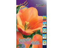 9,96���. ������� ������� ����(���������� ������ ������ ���������� �� 10 ��.).jpg