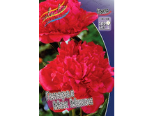 186���. ���� ������� ��� �����(���������� ������ ������ ���������� �� 1 ��.).jpg