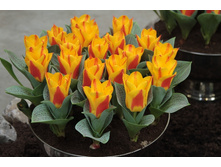 16,2���. ������� �������(�������� ���� �� 10 ��., ����������� ����� 5��.)���17.jpg