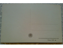 ����69 (1).jpg