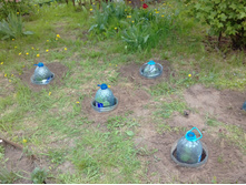 ����� ��� 2017�.