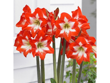 144,1���. ����������� �������� �� ������(�������� ���� �� 2 ��., ����������� ����� 1��.)���16.jpg