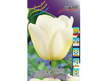 11���. ������� ������ ���(���������� ������ ������ ���������� �� 10 ��.).jpg