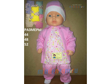 ��������. ������� "��������" ������ 733 238,00 ���.