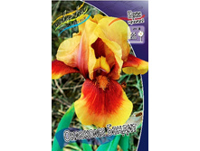 81,8���. ���� ���������� �������� ������(�������� ���� �� 2 ��., ����������� ����� 1��.).jpg