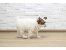 ������ 2 ���.13