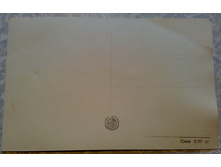 ����75 (1).jpg