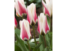 13,97���. ������� ������ ������(���������� ������ ������ ���������� �� 10 ��.).jpg