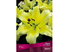 ����� ������.jpg