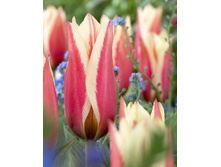 12,48���. ������� ����(���������� ������ ������ ���������� �� 10 ��.).jpg