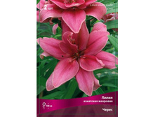 ����� �����.jpg