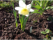 �������