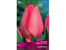 ������� ������ �����.jpg