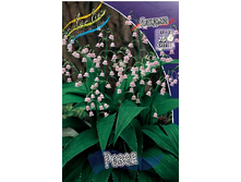 69,85���. ������ �����(�������� ���� �� 2 ��., ����������� ����� 1��.).jpg