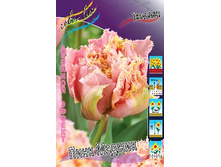 25,85���. ������� ���� ������(�������� ���� �� 10 ��., ����������� ����� 5��.).jpg