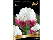 ������� ��� ����.jpg