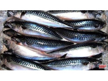 �������� � ������� �������