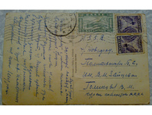 ����95 (1).jpg