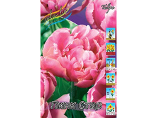 14,27���. ������� ���� ����(���������� ������ ������ ���������� �� 10 ��.).jpg