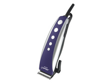 384 ���. - ������� ��� �������