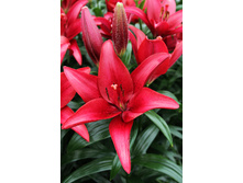 18,7���. ����� ��������(���������� ������ ������ ���������� �� 7 ��.).jpg