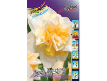 24,63���. ������� ���� ������(�������� ���� �� 7 ��., ����������� ����� 2��.).jpg