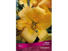 ����� ����������.jpg