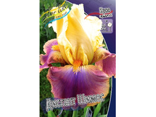 81,8���. ���� ���������� ������� �����(�������� ���� �� 2 ��., ����������� ����� 1��.).jpg