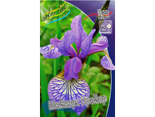 51,9���. ���� ��������� ������� ������(�������� ���� �� 2 ��., ����������� ����� 1��.).jpg