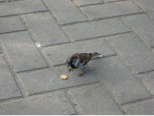 IMG 3657.JPG