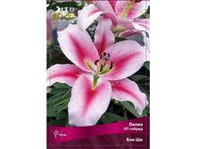 ����� ��� ��.jpg