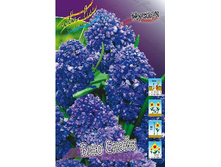 8,18���. ������� ��� �����(���������� ������ ������ ���������� �� 10 ��.).jpg