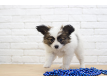 ������ 2 ���.