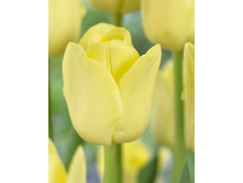 15,46���. ������� ��������(�������� ���� �� 10 ��., ����������� ����� 5��.).jpg