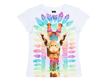 ������� acoola ����� �.122 - 200 ���.