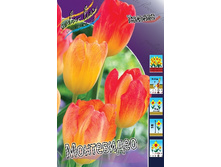 16,94���. ������� ����������(�������� ���� �� 10 ��., ����������� ����� 5��.).jpg