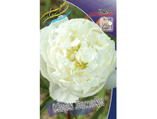 223,4���. ���� ���� ������(���������� ������ ������ ���������� �� 1 ��.).jpg