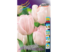 12,78���. ������� �������(���������� ������ ������ ���������� �� 10 ��.).jpg