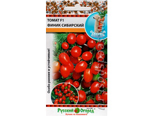 ����� ���������