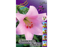 31,33���. ����� ������� ����(�������� ���� �� 4 ��., ����������� ����� 2��.).jpg