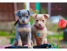 �������-���� ����� ����� =25000 �