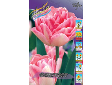 12,48���. ������� ��������(���������� ������ ������ ���������� �� 10 ��.).jpg