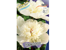 201���. ���� ��������(���������� ������ ������ ���������� �� 1 ��.).jpg