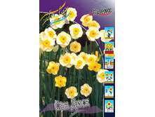 9,07���. ������� ��� ����(���������� ������ ������ ���������� �� 10 ��.)���16.jpg