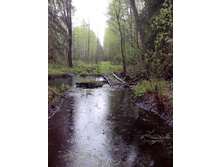 IMG 20170508 152422.jpg